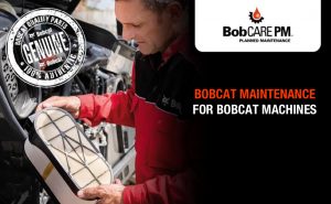 В Великобритании запущена новая программа BobCARE