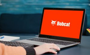 BOBCAT INSTITUTE: 2024 Wrapped